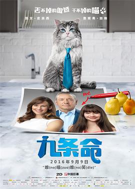 隐秘的女人