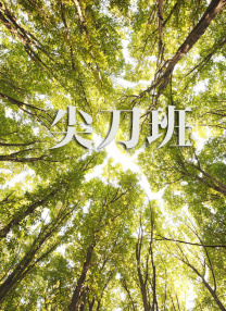 久久久亚洲精选
